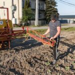 Sodo augalai su aiškiais simptomais, iliustruojančiais augalų ligų atpažinimas pagal simptomus ir prevenciją.
