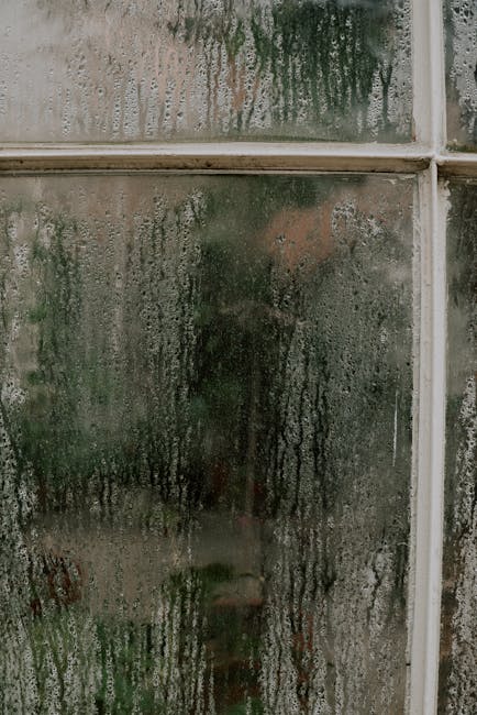 Condensation droplets on a cold window, hinting at indoor humidity issues
