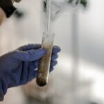 Žalias komposto krūvas su natomis, iliustruojantis Lietuviškas kompostas: gilus gidas nuo medžiagų parinkimo iki kvapų kontrolės
