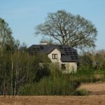 Naujokų gidas namų energetikai: ranka su elektros skaitikliu, matuojamas ir valdomas elektros vartojimas.