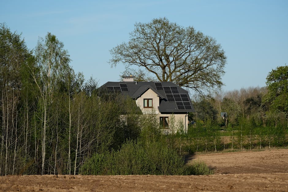 Naujokų gidas namų energetikai: kaip suprasti, matuoti ir valdyti elektros vartojimą