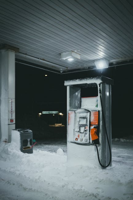 Išvalytas baseino ar sodo siurblys žiemai prie aptvaro ir žarnų