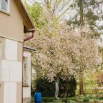 Sezoninis sodo planavimas: kontrolinis sąrašas pavasariui, vasarai ir rudeniui – žydintys augalai ir sodininkystės įrankiai