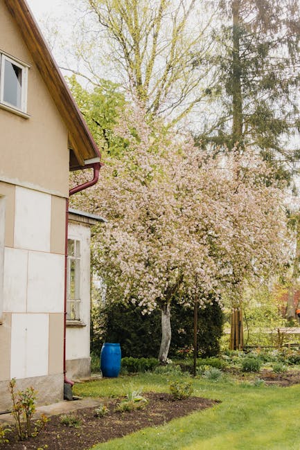 Sezoninis sodo planavimas: kontrolinis sąrašas pavasariui, vasarai ir rudeniui