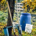 Sodo įrenginių priežiūra: rudens darbų sąrašas—sodo žarnos, žirklės ir įrankiai paruošti pavasariui